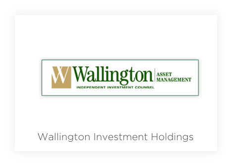 Wallington Investment Holdings Logo Image